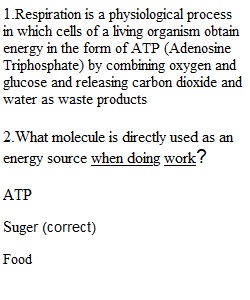 Module 3 Lab Report